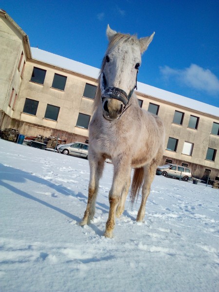 Photo de profil de lolo57660