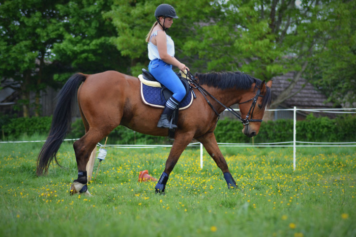 Photo de profil de sandramna