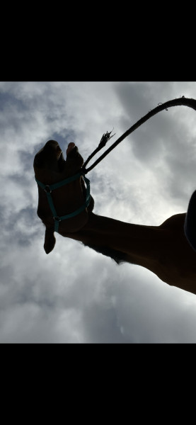 Photo de profil de louise.r75