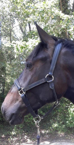 Photo de profil de lolagersant