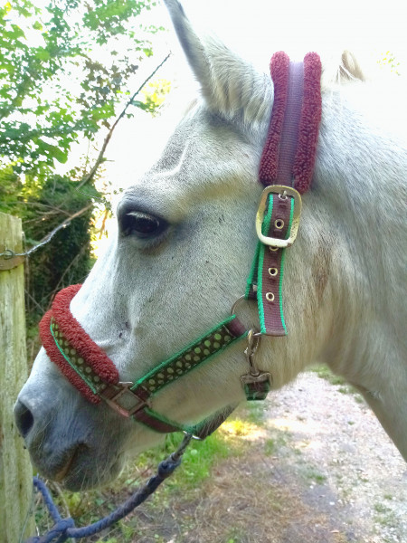Photo de profil de pauline9