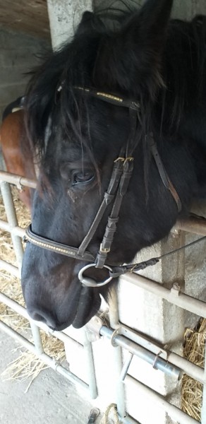 Photo de profil de maelice