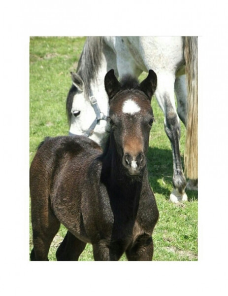 Photo de profil de ludivine.slt