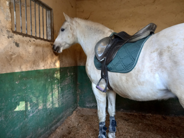 Photo de profil de navarro1234