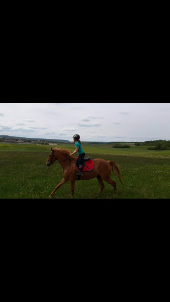 Photo de profil de raegan