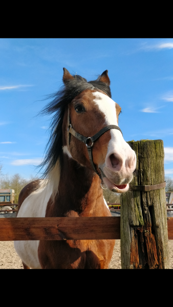 Photo de profil de salapousse