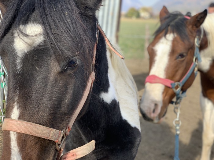 Photo de profil de leadu74