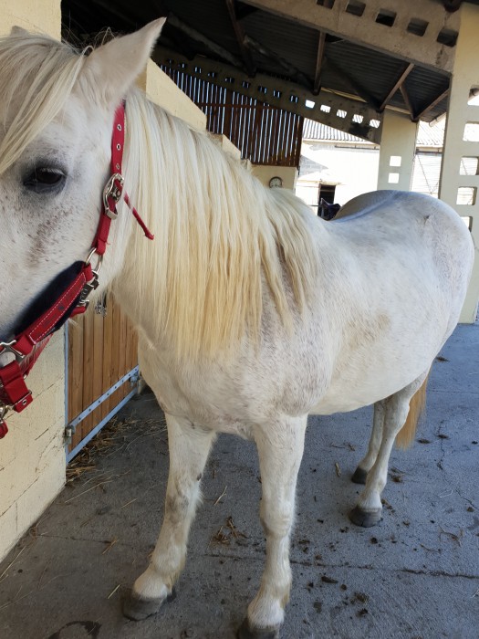 Photo de profil de petitelouna