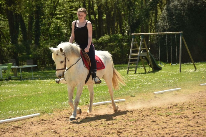 Photo de profil de grisse