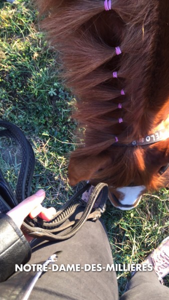 Photo de profil de luluffy