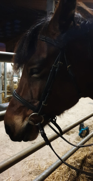 Photo de profil de tsuki90