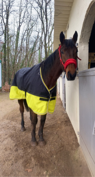 Photo de profil de jessicabrnd