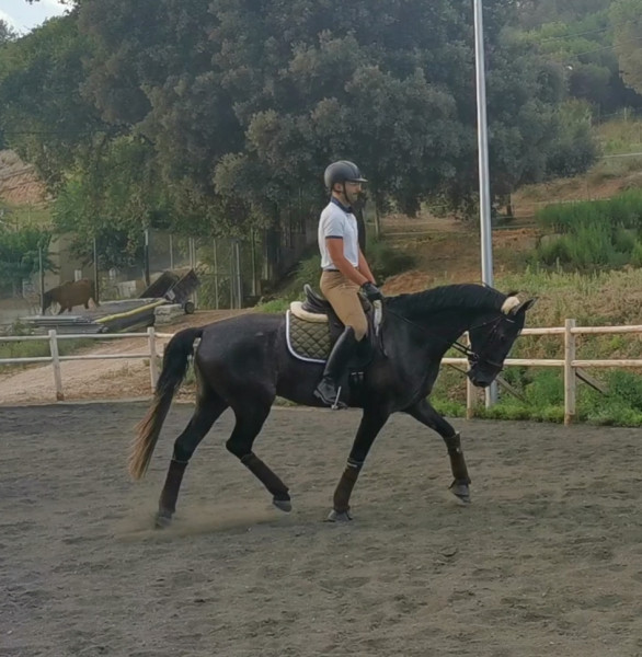 Photo de profil de horsespainbcn