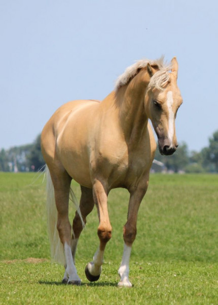 Photo de profil de mayadkt