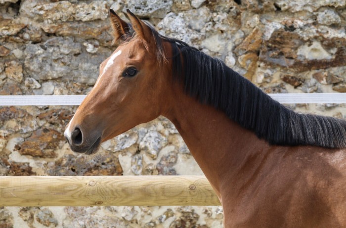 Photo de profil de flodemai