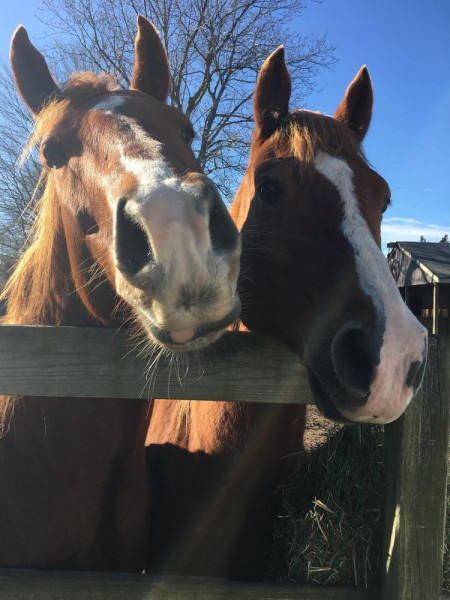 Photo de profil de cleiavinais