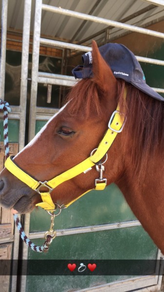 Photo de profil de noelie.tsn