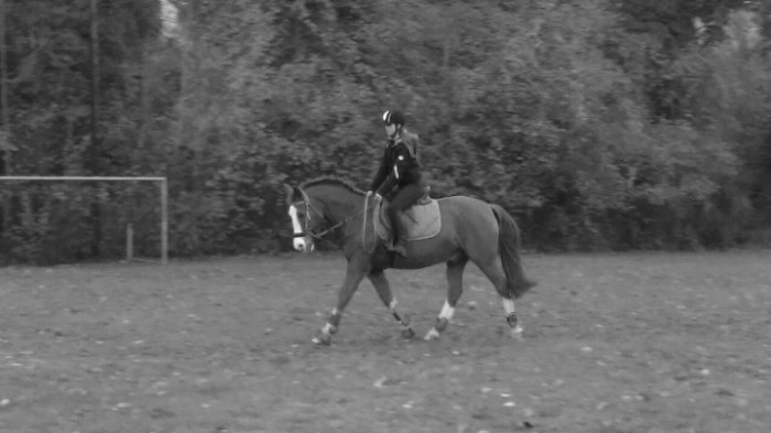 Photo de profil de chloe.fgnr