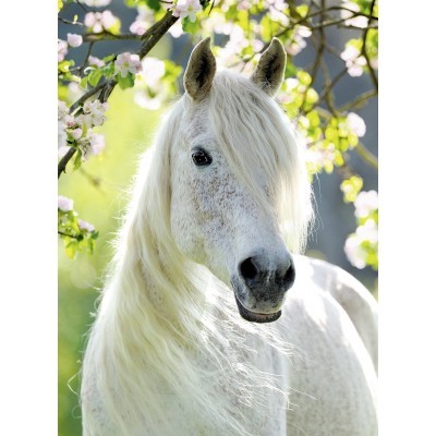 Photo de profil de lisou02