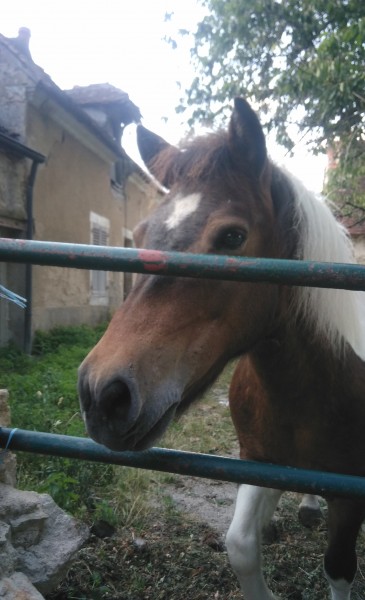 Photo de profil de vavapoons