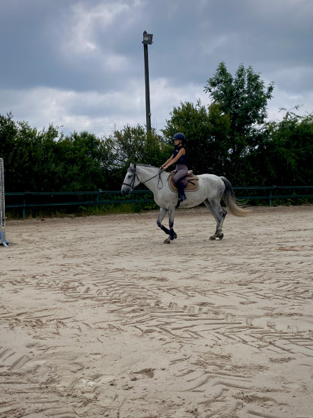 Photo de profil de ines.p