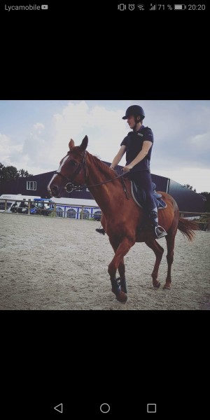 Photo de profil de alexandre16