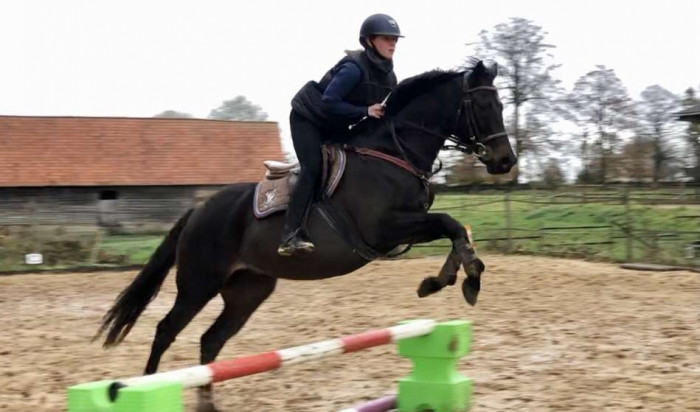 Photo de profil de jojodu76