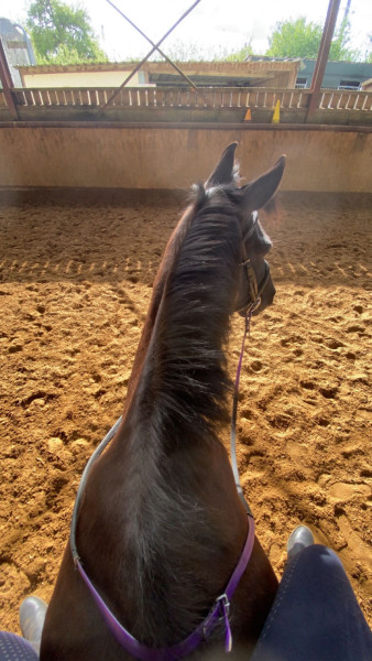 Photo de profil de loane_1901