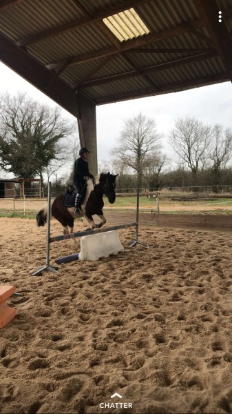 Photo de profil de ftn_equitation