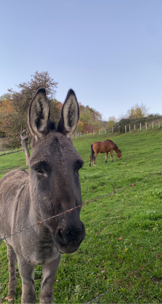 Photo de profil de maeee26