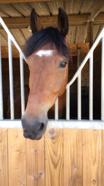 Photo de profil de emma252007