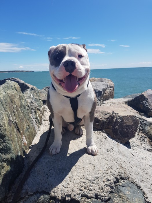 Photo de profil de vaninaandnarco