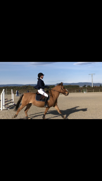 Photo de profil de marine_hbr