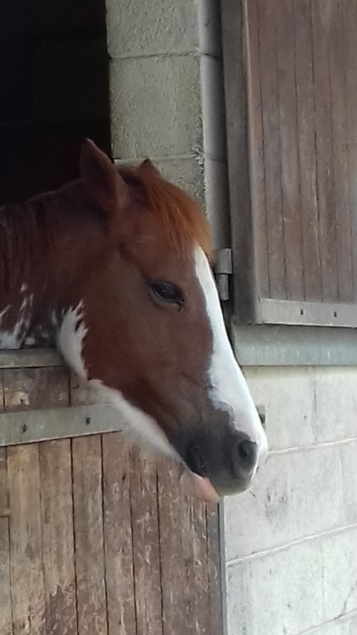 Photo de profil de cometes