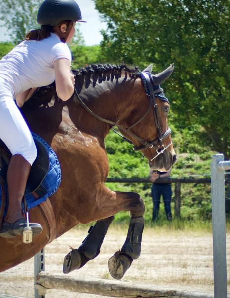 Photo de profil de anais_fdc