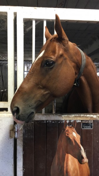 Photo de profil de angelisa