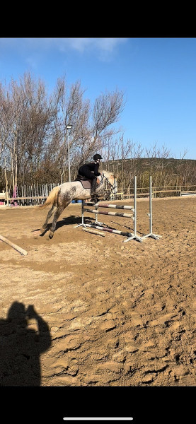 Photo de profil de eko_line