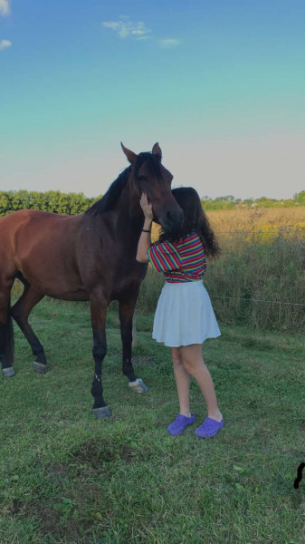 Photo de profil de minhowrd