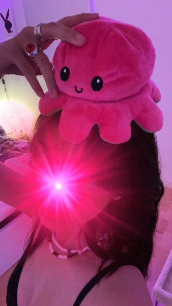 Photo de profil de kashmir.mre