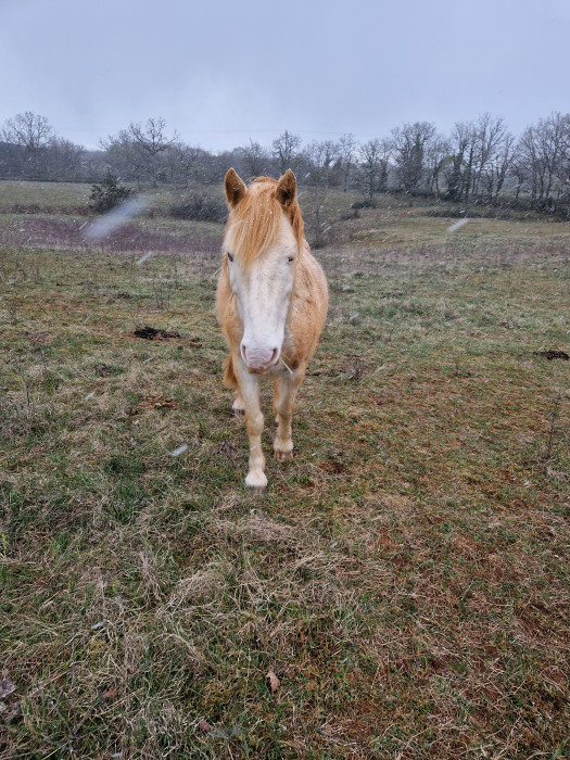 Photo de profil de diables09