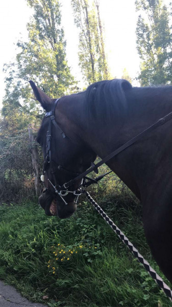 Photo de profil de pierroux
