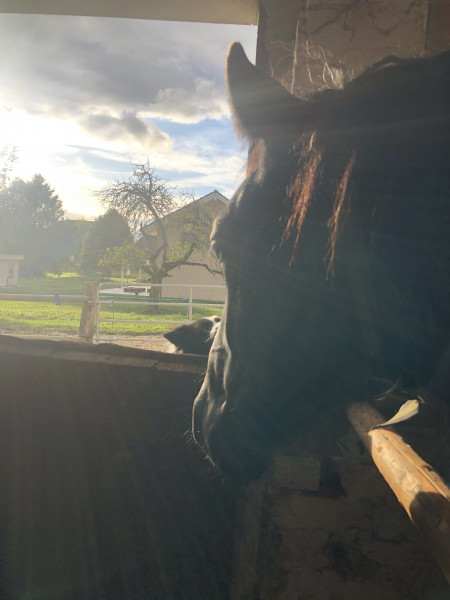 Photo de profil de miss_mlr