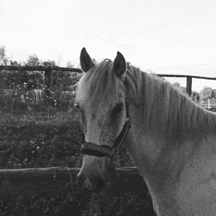 Photo de profil de emmabis