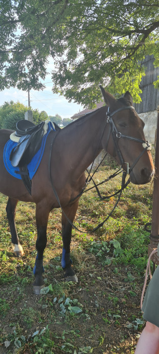 Photo de profil de nono25v
