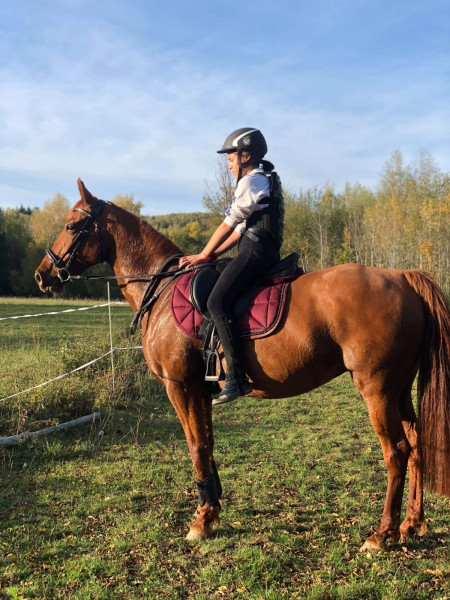 Photo de profil de equi_e_63