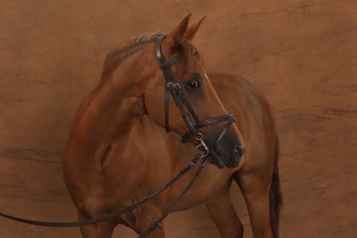 Photo de profil de cydney