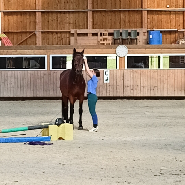 Photo de profil de a_bsn