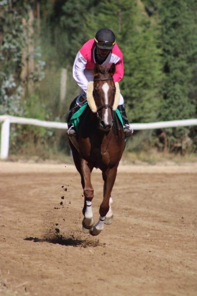 Photo de profil de tiagomacedo