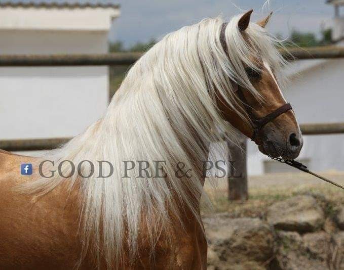 Photo de profil de jenny1000