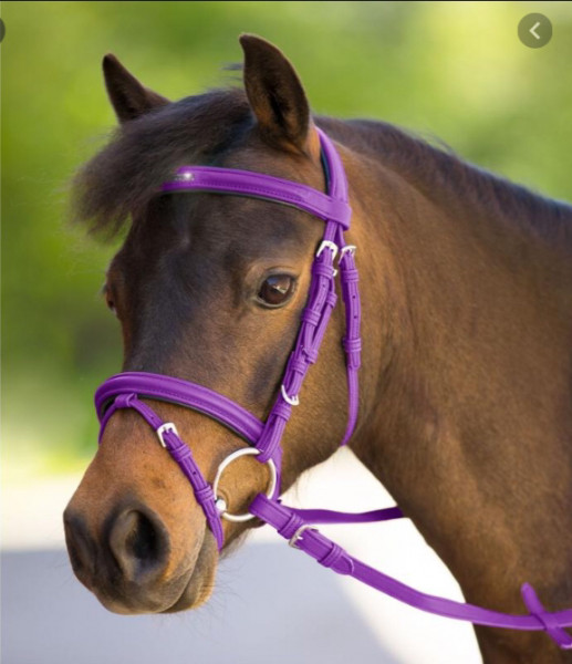 Photo de profil de agathe.cheval